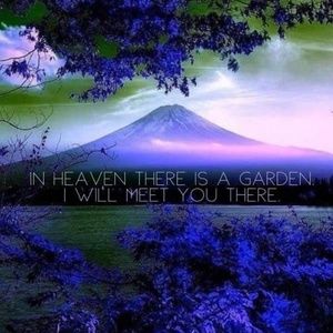 Meet your Posher, Doris